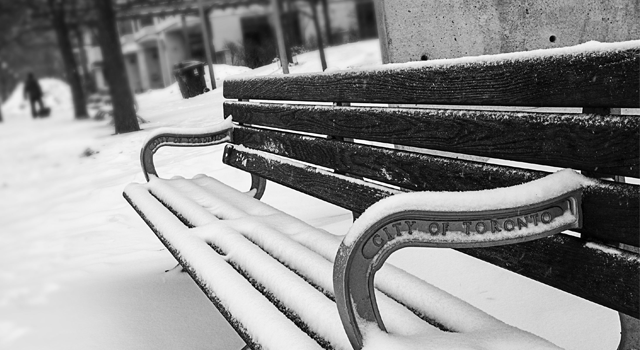 City of Toronto bench